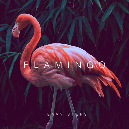 image cover: Flamingo - Heavy Steps