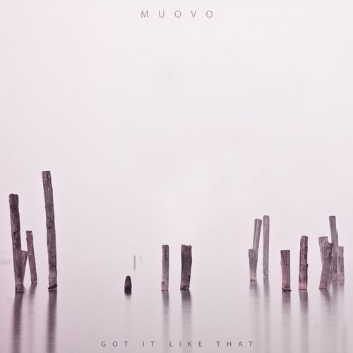 image cover: Muovo - Got It Like That