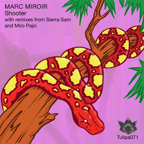 image cover: Marc Miroir - Shooter
