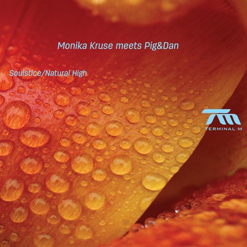 image cover: Monika Kruse Meets Pig&Dan - Soulstice/Natural High [Terminal M]