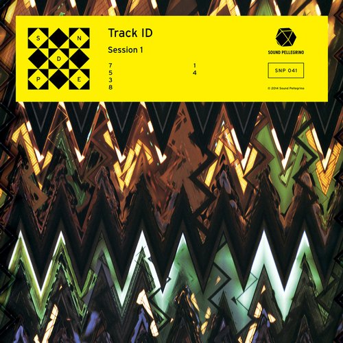 image cover: Track ID - Session 1