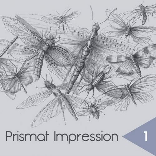 image cover: VA - Prismat Impression 1 [Prismat Recordings]