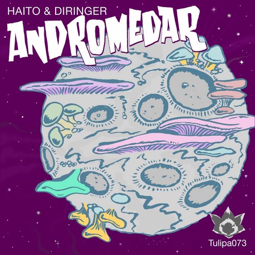 image cover: Diringer, Haito Goepfrich - Andromedar [Tulipa Recordings]