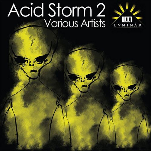 image cover: VA - Acid Storm Vol. 2