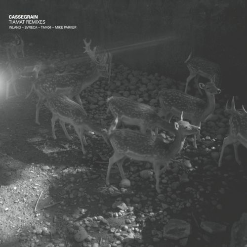 image cover: Cassegrain - Tiamat Remixes