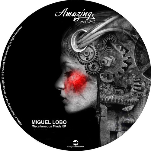image cover: Miguel Lobo - Miscellaneous Minds [Amazing Music]