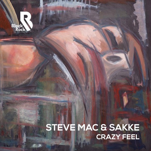 image cover: Steve Mac, Sakke - Crazy Feel