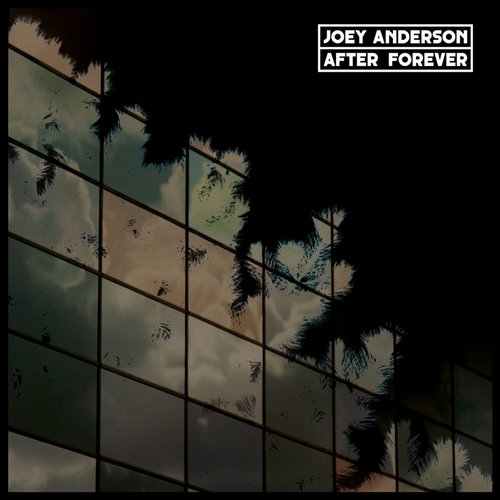 image cover: Joey Anderson - After Forever [Dekmantel]