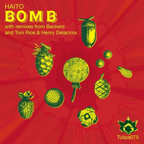 image cover: Haito Goepfrich - Bomb