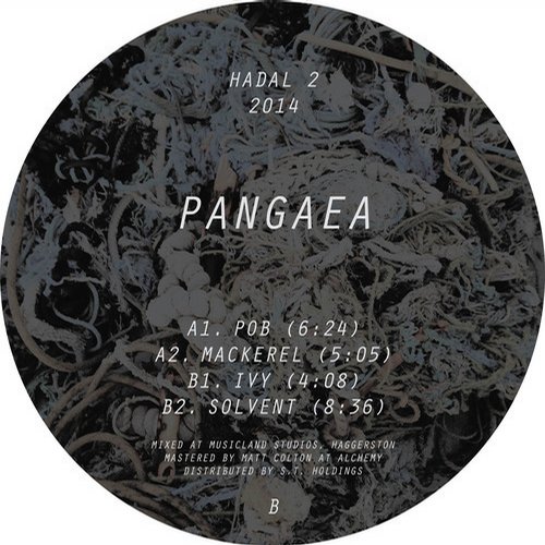 image cover: Pangaea - Pob