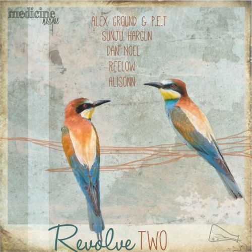 image cover: VA - Revolve Two