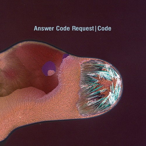 CS2483617 02A BIG1 Answer Code Request - Code [Ostgut Ton] [FLAC]