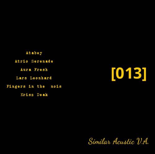VA – Similaracustic (013)