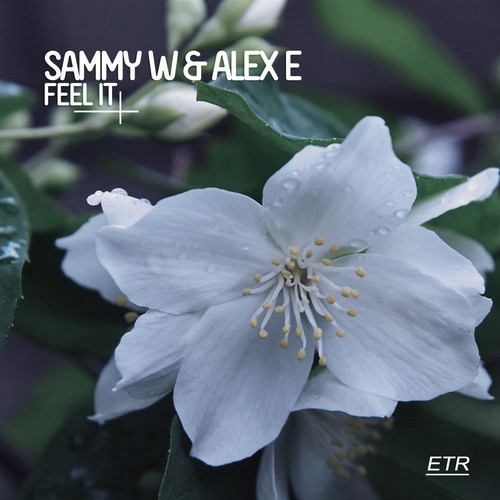 image cover: Sammy W, Alex E - Feel It