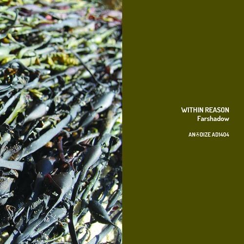 image cover: Within Reason - Farshadow