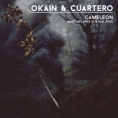 image cover: Okain - Cameleon +(Hot Since 82 Remix)