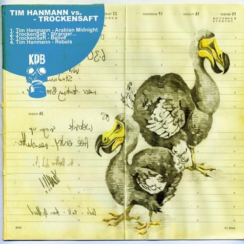 image cover: Tim Hanmann, Trockensaft - KDB Birds