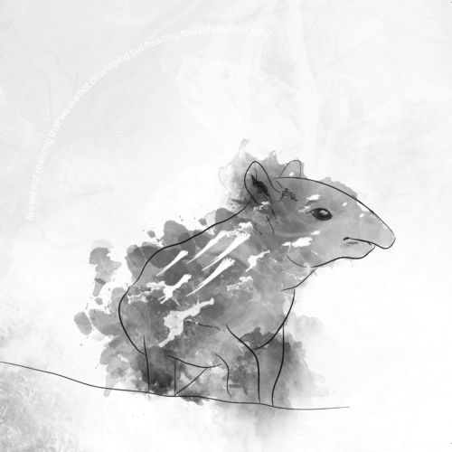 image cover: Tapirus - Where Are We Heading
