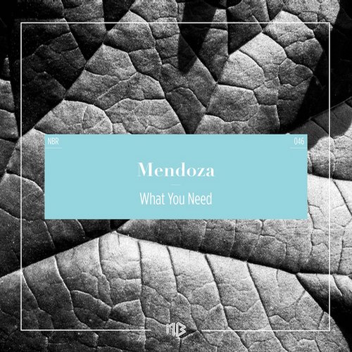 image cover: Mendoza - What You Need
