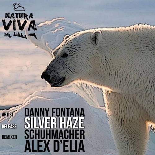 image cover: Danny Fontana - Silver Haze [Natura Viva]