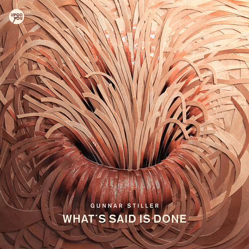 image cover: Gunnar Stiller - What`s Said Is Done [Upon You Records]
