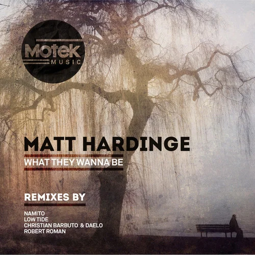 image cover: Matt Hardinge - What They Wanna Be [Motek Music]