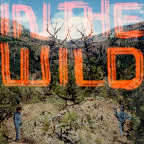 Falty DL – In The Wild