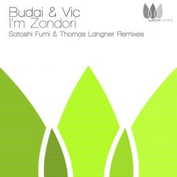 image cover: Budai and Vic - Im Zondori [WT037]