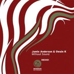 image cover: Jamie Anderson, Owain K - Without Sound [DES101D]