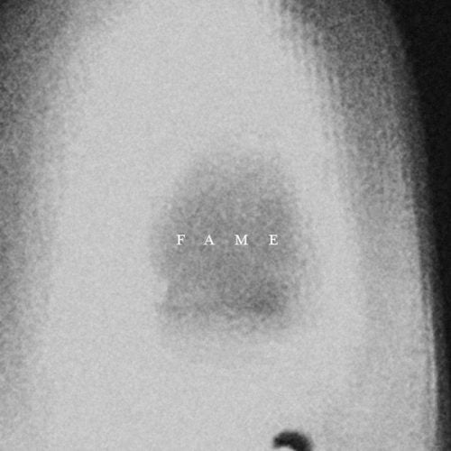 The Acid – Fame