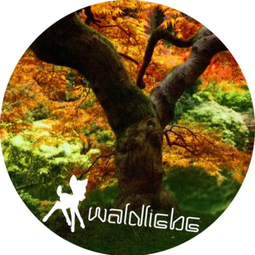 Marco Faraone – Mio Chico [WALD002]