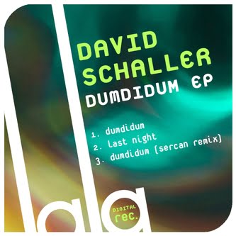 image cover: David Schaller - Dumdidum [LALA001]