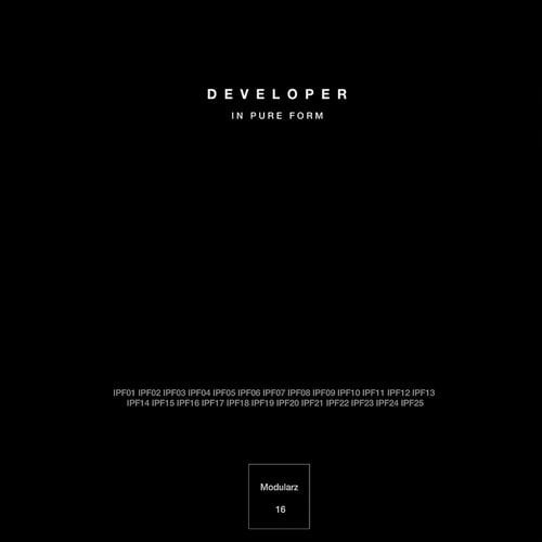 image cover: Developer - In Pure Form