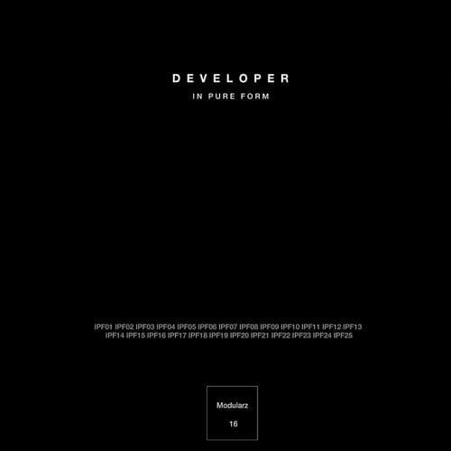 image cover: Developer - In Pure Form