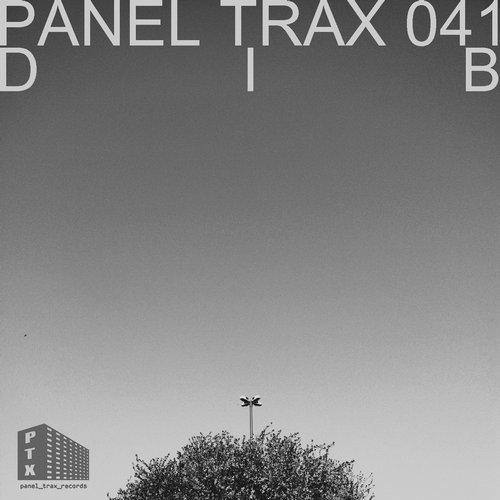 image cover: DIB - Panel Trax 041