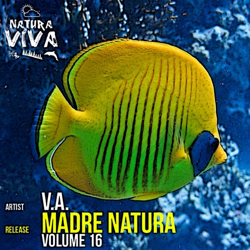 image cover: VA - Madre Natura Vol 16