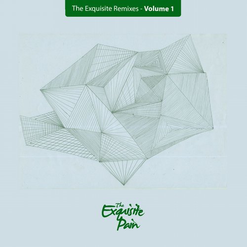 9849989 VA - The Exquisite Remixes Vol. 1 [The Exquisite Pain]