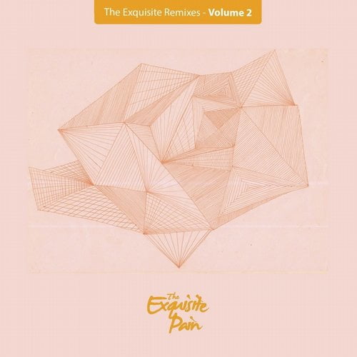 9901930 VA - The Exquisite Remixes Vol. 2