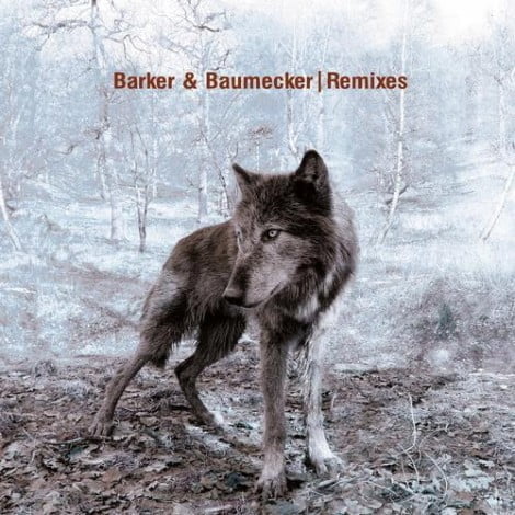 image cover: Barker & Baumecker - Remixes [OTON062]
