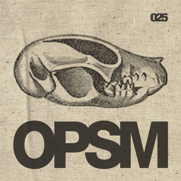 image cover: VA - Get OPSMized 5 Years Of OPSM [OPSM025]
