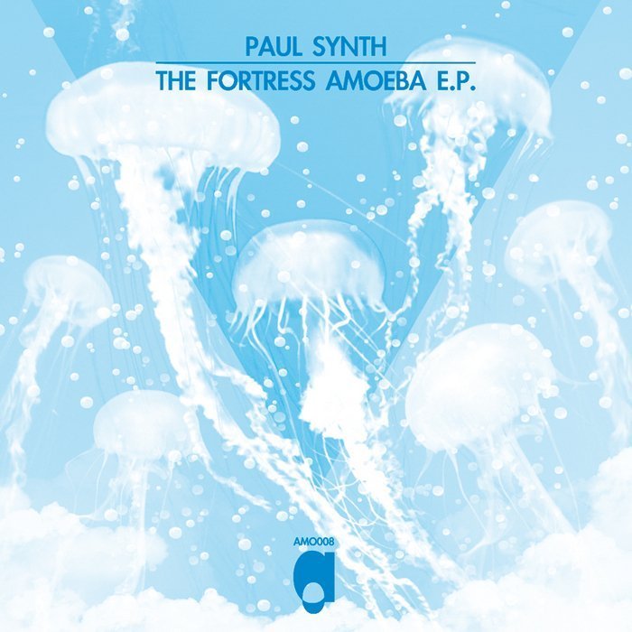 image cover: Paul Synth - The Fortress EP [AMO008]