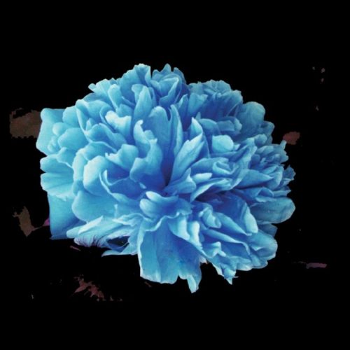 JT Donaldson – Make You High [RB25]