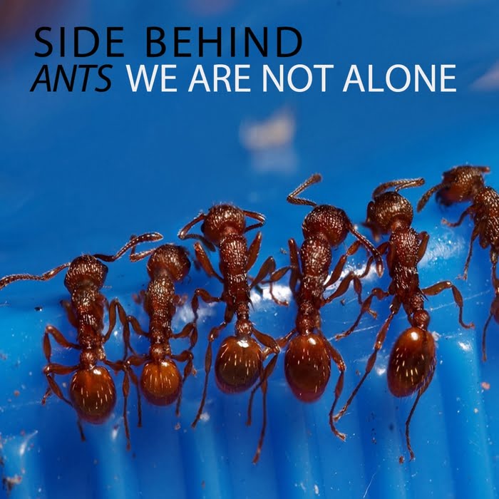 image cover: Side Behind - Ants / We Are Not Alone [FPR109]