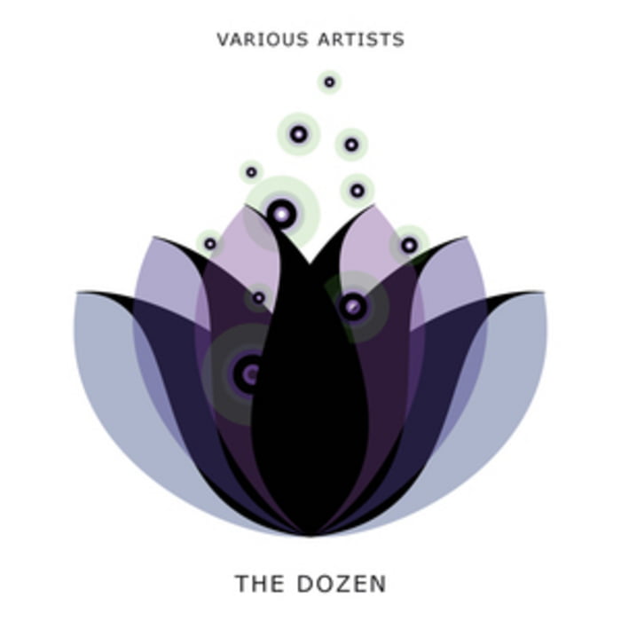 image cover: VA - The Dozen [SNUBB012]