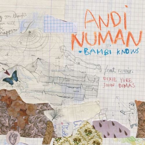 Andi Numan – Bambi Knows [NKR015]