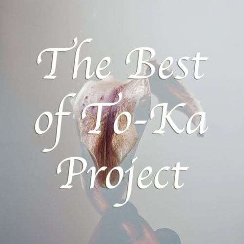 image cover: To-Ka Project - The Best Of The To-Ka Project