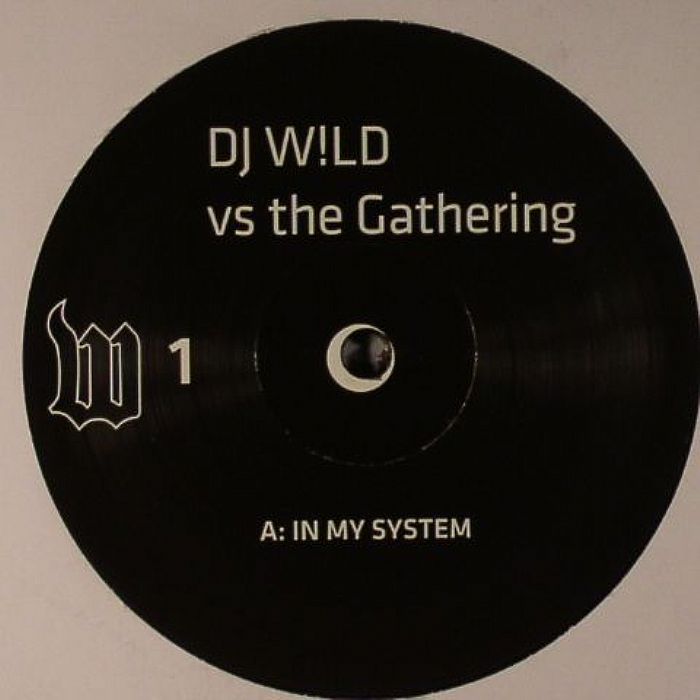 image cover: DJ Wild Vs The Gathering – In My System / Bizaz [W1]