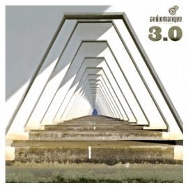 image cover: VA - Audiomatique 3.0 [AMCD04]