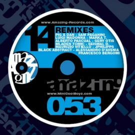 image cover: Minicoolboyz - 14 Remixes [AMZ053]