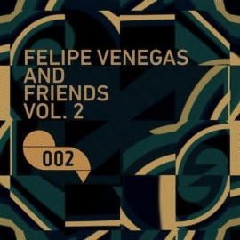image cover: VA - Felipe Venegas And Friends Vol 2 [DM002]